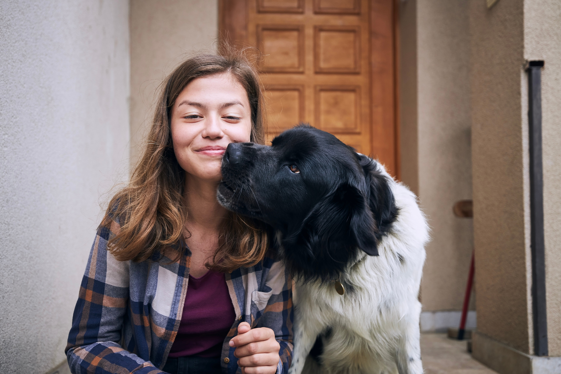 Dog Licking Face of Owner 